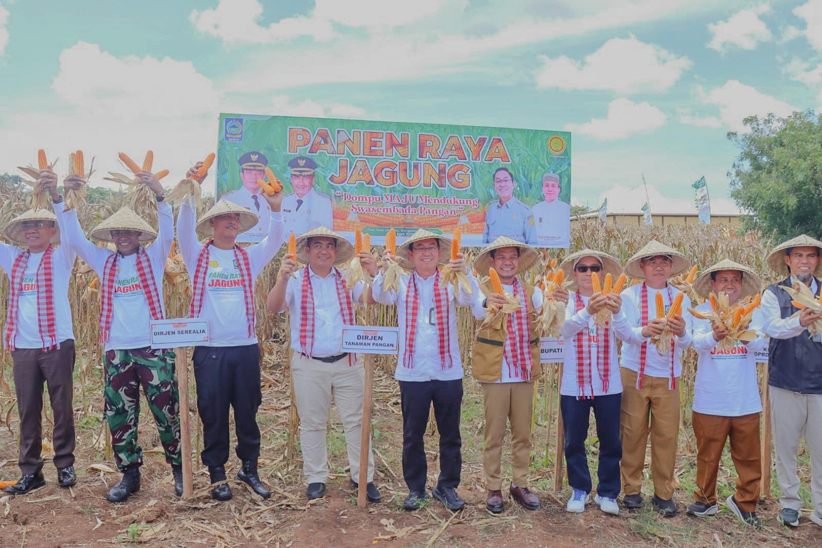 Panen Raya Jagung Bersama Dirjen Tanaman Pangan Kementan, Bupati Dompu Beberkan Kendala Petani