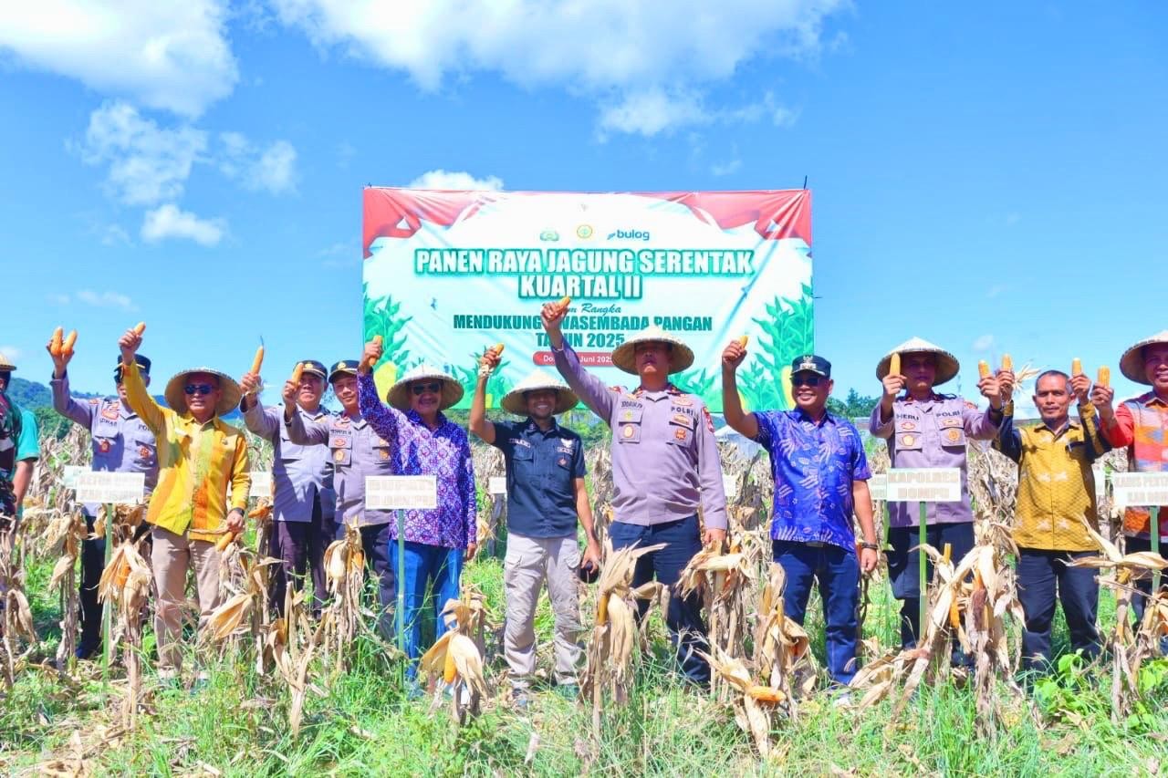 Wakil Bupati Dompu Panen Raya Jagung Serentak Kuartal II di Desa Soriutu Kecamatan Manggelewa